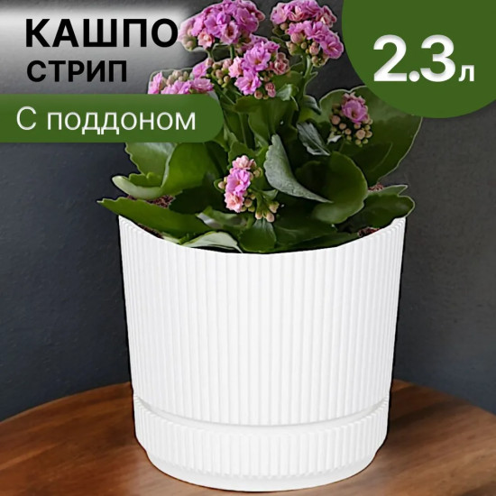 Кашпо со вставкой «Стрип»