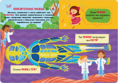 Как устроено тело человека. И другие интересные вопросы - Фото 15