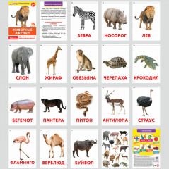 Карточки Домана - Фото 8