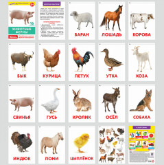 Карточки Домана - Фото 10