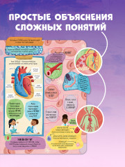 Большая книга с окошками. Тело человека - Фото 7