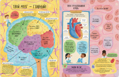 Большая книга с окошками. Тело человека - Фото 14