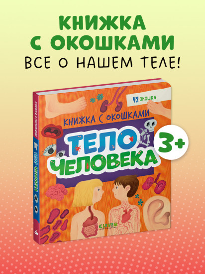 Тело человека