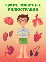 Тело человека - Фото 6