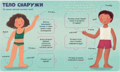 Тело человека - Фото 11