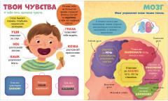 Тело человека - Фото 13