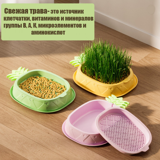 Набор для проращивания травы