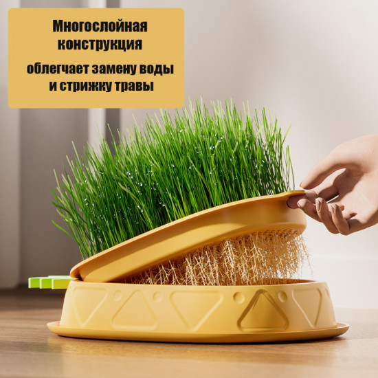 Набор для проращивания травы