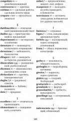 Storia Di Chi Fugge E Di Chi Resta - Фото 8