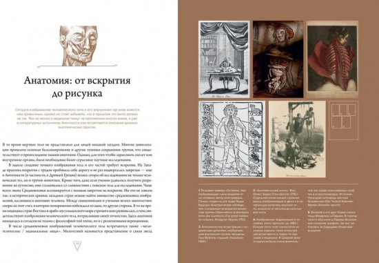 Кабинет редкостей — анатомических, медицинских и жутких