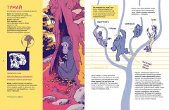 Путешествие во времени. Эволюция человека - Фото 2