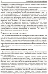 Атлас возбудителей грибковых инфекций - Фото 6