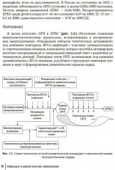 Инфекции и ревматические заболевания. Руководство для врачей - Фото 6