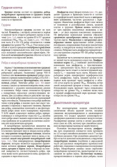 Наглядная пульмонология - Фото 10