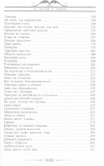 В гостях у турок. Юмористическое описание путешествия супругов Николая Ивановича и Глафиры Семеновны - Фото 2