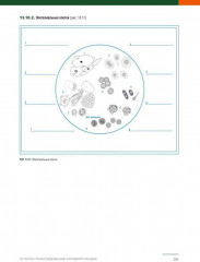 Анализ осадка мочи - Фото 14