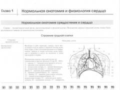 Эхокардиография в таблицах и схемах. Настольный справочник - Фото 5