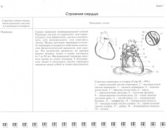 Эхокардиография в таблицах и схемах. Настольный справочник - Фото 7