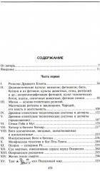 Древний Египет. Духи, идолы, боги - Фото 1