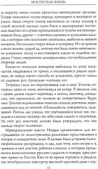Моя русская жизнь. Воспоминания великосветской дамы, жены флигель-адъютанта Николая II - Фото 8