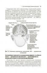 Инсульт. Клиническое руководство для врачей - Фото 15