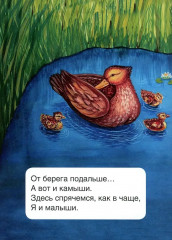 Уточки - Фото 5