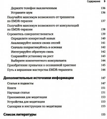 Искусство и наука EMDR: помощь психотерапевтам на пути от теории к практике - Фото 4