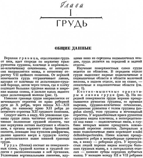 Атлас топографической анатомии человека. Том 2. Грудь, живот, таз