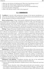 Infectious diseases - Фото 7