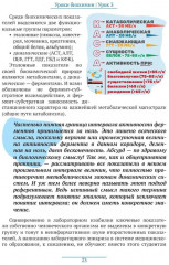 Еще раз о питании: уроки биохимии - Фото 3