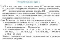 Еще раз о питании: уроки биохимии - Фото 6