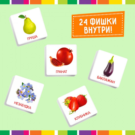 Лото «Растительный мир»