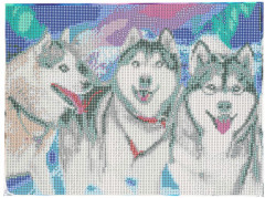 Алмазная мозаика «Хаски» - Фото 2