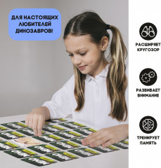 Игра настольная «Мемо. Динозавры» - Фото 4