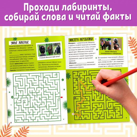 Лабиринты и факты. По лианам в джунгли