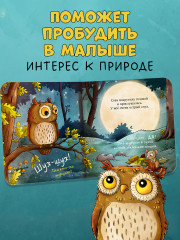 Совушка в лесу. Первая книга малыша о природе - Фото 4