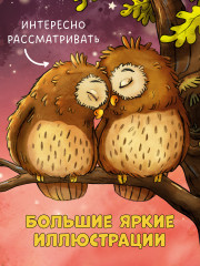 Совушка в лесу. Первая книга малыша о природе - Фото 5