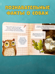 Совушка в лесу. Первая книга малыша о природе - Фото 6