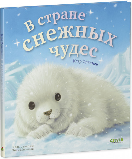 В стране снежных чудес