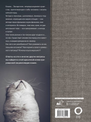 Кошки - Фото 1