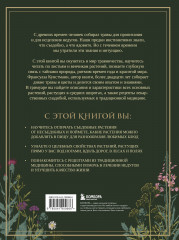 Гримуар травницы. Иллюстрированный справочник по сбору, заготовкам и полезным свойствам дикорастущих растений - Фото 1