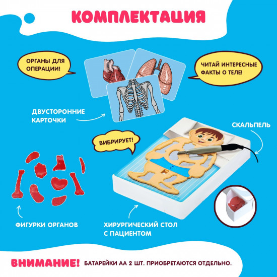 Игра настольная «Весёлая анатомия»