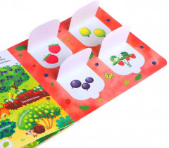 Первые окошки. В лесу, саду и огороде - Фото 4