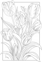 Раскраска «Botanic garden» - Фото 3