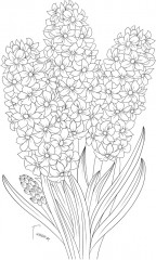 Раскраска «Botanic garden» - Фото 4