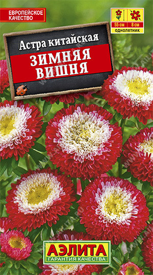 Семена. Астра «Зимняя вишня», помпонная, 0,2 г