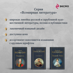 Дневники Достоевских. Комплект из 2 книг - Фото 5
