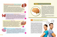 Человек! 365 вещей, которые нужно знать про наше тело - Фото 4