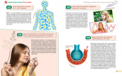 Человек! 365 вещей, которые нужно знать про наше тело - Фото 9