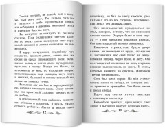 Недопесок - Фото 12